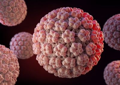 Recombinant Virus-Like Particles (VLPs) Vaccine Development Technology Platform