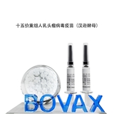 十五价HPV疫苗
